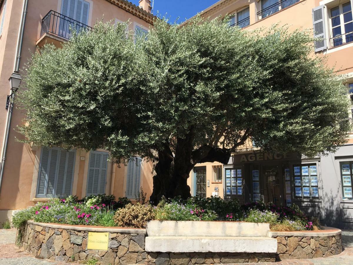 Bastide Du Levant Sainte-Maxime Eksteriør billede